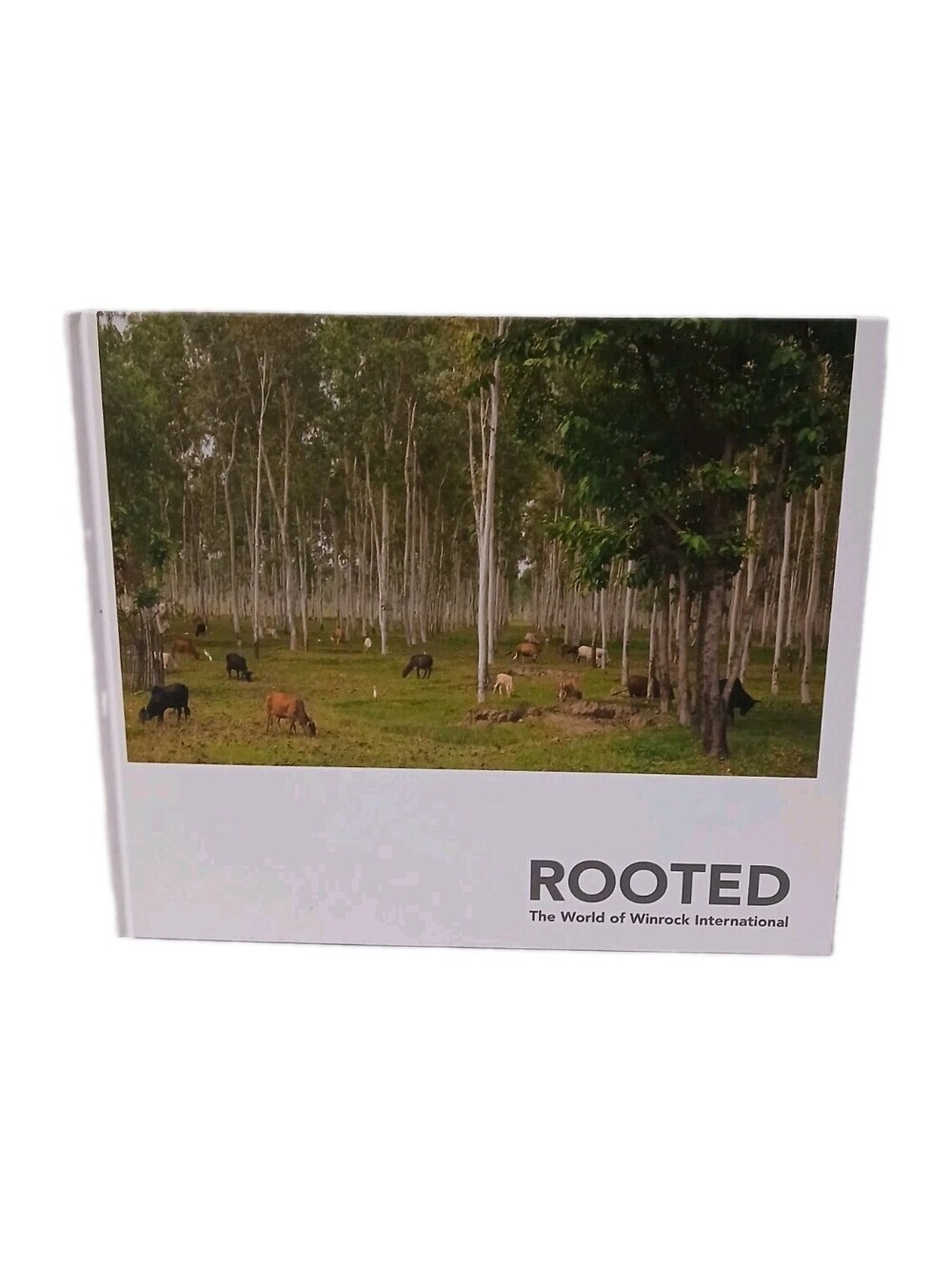 rooted the world of winrock international Hardcover Arkansas